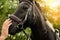 Senior man stroking beautiful black pony outdoors on sunny day, closeup