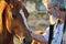 Senior man stroking big horse portrait close up