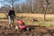 Senior man tilling ground soil with a rototiller in the garden.