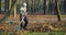 Senior man using gardening rake for cleaning city park