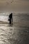 Senior man walking on the shoreline looking for razor clams, Ocean Shores, Washington State, USA