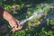 Senior man watering a garden and garden beds. Watering plants from garden hose. Pours green vegetation, sprays water. Side view.