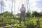 Senior Man Watering Plants In Allotment