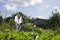 Senior Man Working In Allotment