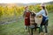 Senior man with young woman pressing grapes for wine production