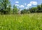 Senior man on zero turn lawnmower in meadow