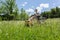 Senior man on zero turn lawnmower in meadow