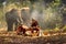 Senior Men and women are weaves basket with a large elephant in the background. Old man and woman weaves bamboo basket or fish