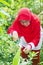 Senior muslim woman cutting leaves in garden