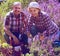 Senior positive couple engaged in gardening