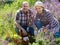 Senior positive couple engaged in gardening