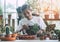 Senior retired man planting inside his glasshouse for happy retirement relaxing lifestyle