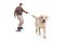 Senior riding a longboard and walking a dog