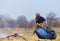 Senior rural woman burning fallen leaves