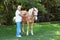 Senior veterinarian examining palomino horse on sunny day