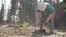 Senior volunteer plants a small fir-tree