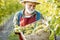 Senior winemaker with grapes on the vineyard