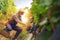 Senior winemaker with grapes on the vineyard