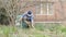 Senior woman cleaning dry grass while gardening work in garden backyard