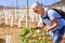 A senior woman controls the sprouts of the new vineyard smiling proud - active retired elderly people with white hair  in