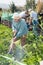 Senior woman is dripping potatoes in garden outdoor with family