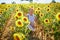 Senior woman on a field of sunflowers in Provence, France