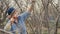 Senior woman gardener sawing branches fruit tree while gardening work