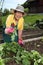 Senior woman gardening