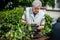 Senior woman planting peppers seedlings in a raised gardening bed