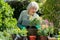 Senior Woman Potting Plant In Garden At Home