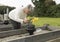 Senior woman putting flowers on a grave