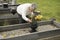 Senior woman putting flowers on a grave