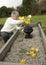 Senior woman putting flowers on a grave