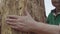 Senior woman`s hand hugging a damaged tree