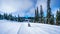 Senior Woman skiing in a Winter Landscape in the High Alpine