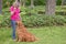 Senior woman training dog to sit