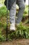 Senior woman trekking in nature. An elderly woman walks down the hill using walking sticks. Close-up of boots, going down.