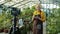 Senior woman vlogger recording video in greenhouse holding plant talking using camera on tripod