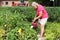 Senior woman watering garden