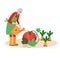 Senior Woman watering garden. Active Old farmer caring about pumpkin, carrots. Aged Retired harvesting in summer.