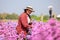 Senior woman wearing plaid shirt and hat with tablet on holding hand and check quality of flowers in her beautiful magaret flower