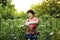 Senior woman working in a vegetable garden tying up tomatoes.