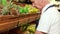 Senior worker stocking the vegetables in supermarket