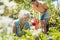 Senior and young woman gardening together