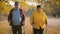 Seniors couple nordic walking in autumn forest.