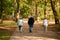 Seniors are engaged in Scandinavian walking