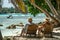 Seniors on summer vacation on the sea.Old elderly people sit in wooden shezlong and watch the sea. Back side view. Exotic plants