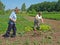 Seniors work in garden