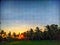 Senja landscape sky coconut tree sunset Field nature grass