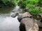 The Senjoyo River in Salatiga is a spring that flows directly from the mountains.